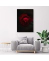 Obraz na płótnie canvas - Róża na czarnym tle | FEEBY