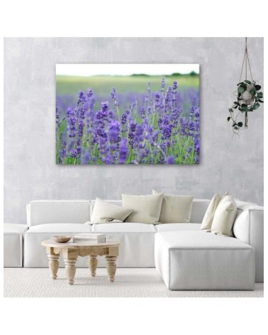 Leinwandbild - Lavendelfelder | Feeby