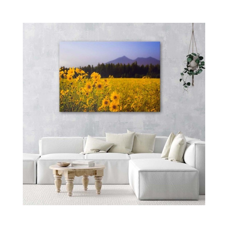 Bild auf Leinwand - Felder mit gelben Blumen | Feeby