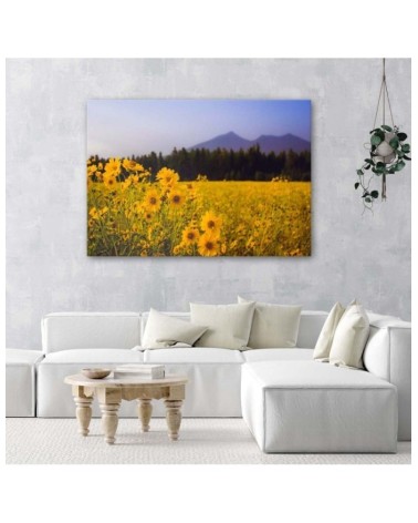 Bild auf Leinwand - Felder mit gelben Blumen | Feeby