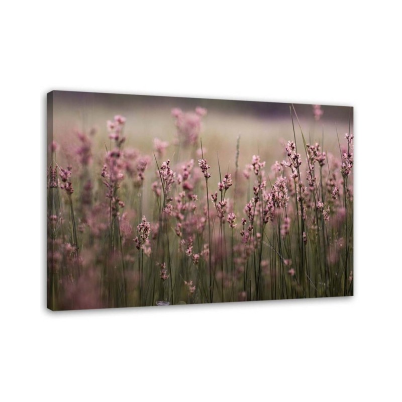 Dekoratives Leinwandbild - Rosa Feldblumen | Feeby