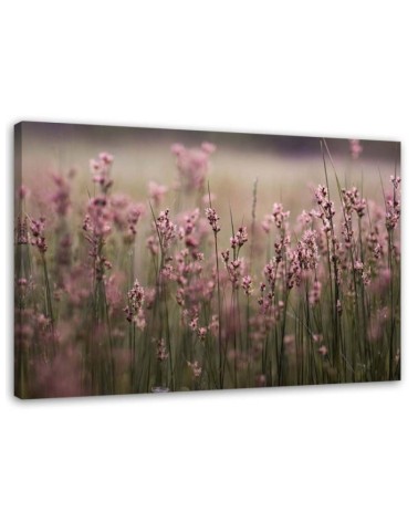 Canvas painting for living room - Pink field flowers | FEEBY