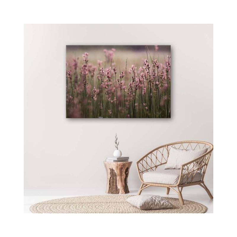Dekoratives Leinwandbild - Rosa Feldblumen | Feeby
