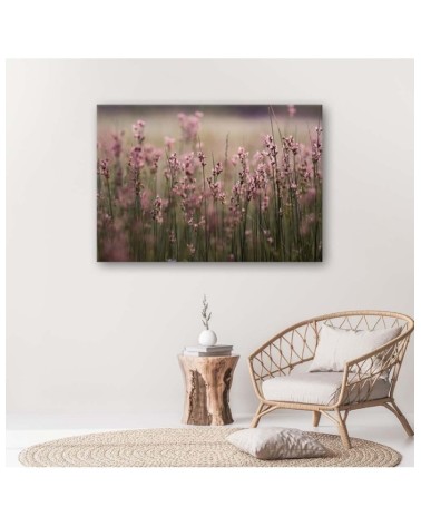 Dekoratives Leinwandbild - Rosa Feldblumen | Feeby