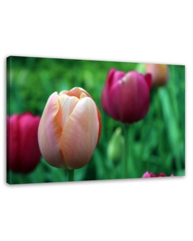 Canvas print modern - Pink tulips | FEEBY