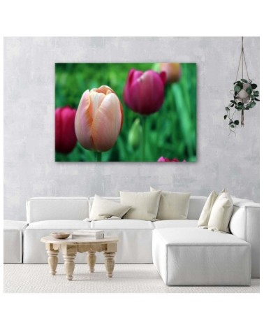 Leinwandbild - Rosa Tulpen | Feeby