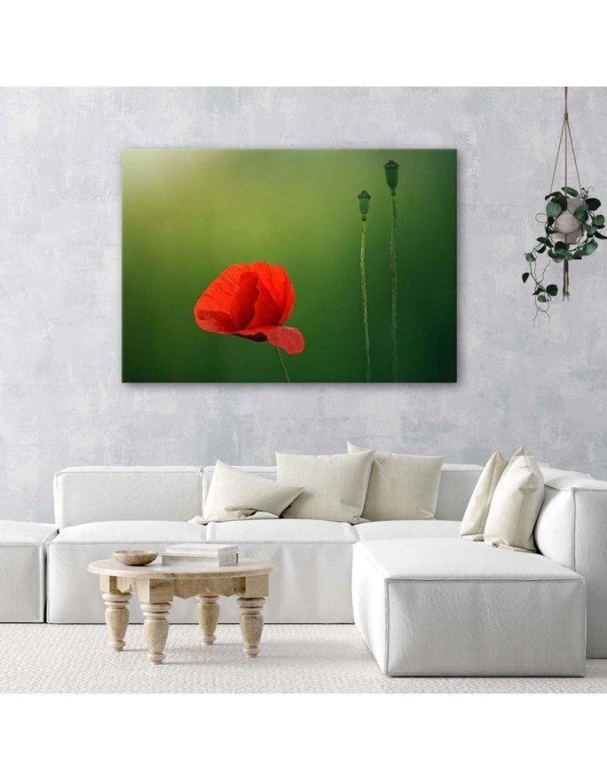 Obraz na płótnie canvas - Mak na zielonym tle | FEEBY