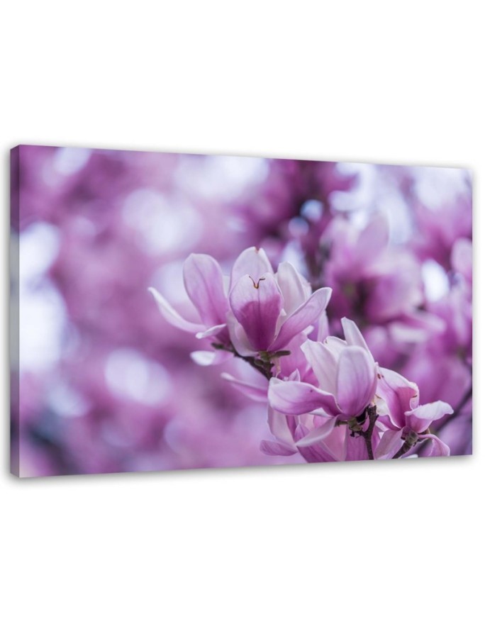 Nowoczesny obraz do salonu - Kwiaty magnolii | FEEBY