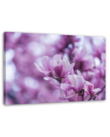 Nowoczesny obraz do salonu - Kwiaty magnolii | FEEBY