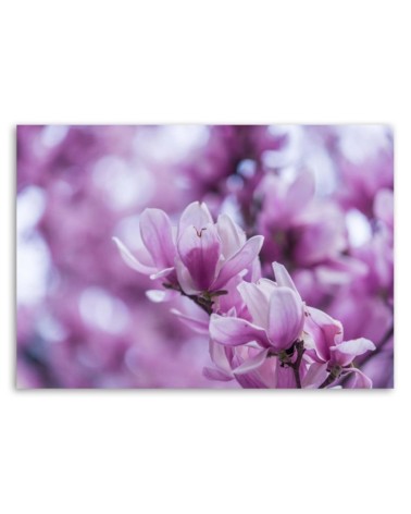 Wandbild für Wohnzimmer - Magnolienblüten | Feeby