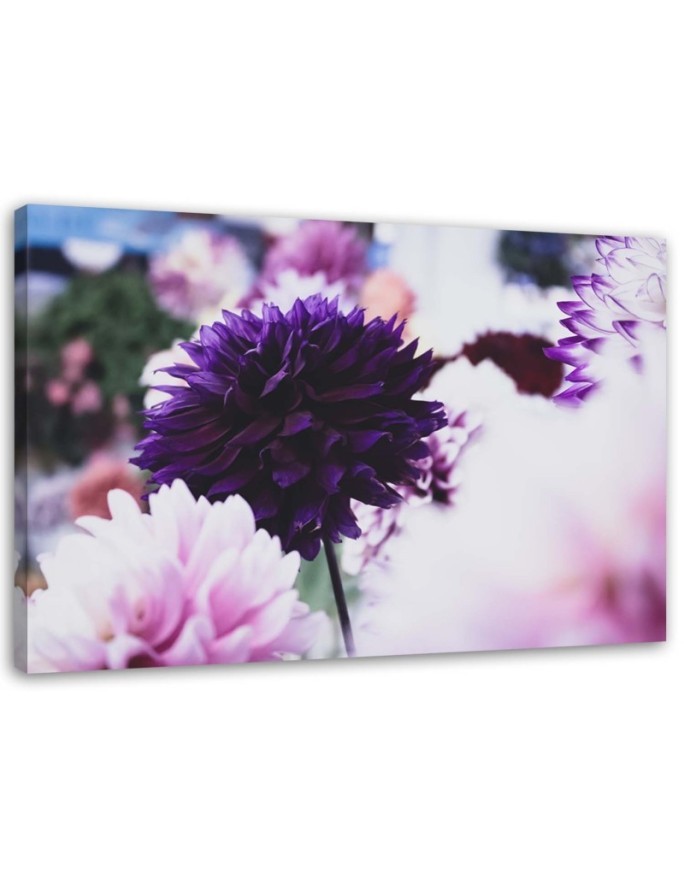 Modernes Wandbild - Dahlien | Feeby