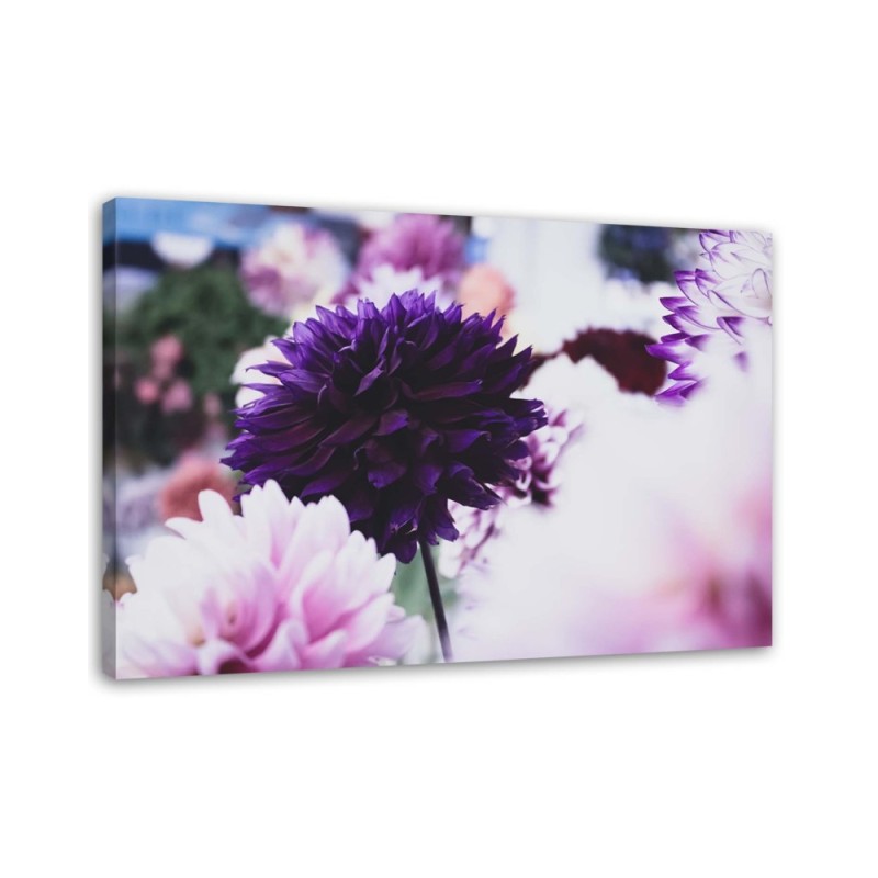 Modernes Wandbild - Dahlien | Feeby