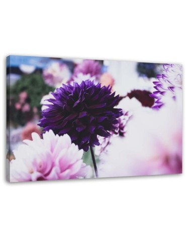Canvas prints for living room - Dahlia flowers | FEEBY
