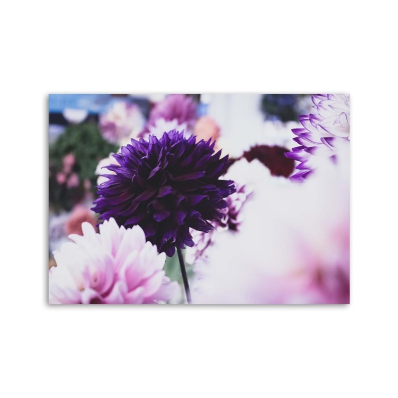 Modernes Wandbild - Dahlien | Feeby