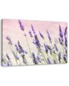 Canvas prints for living room - Lavender flowers | FEEBY