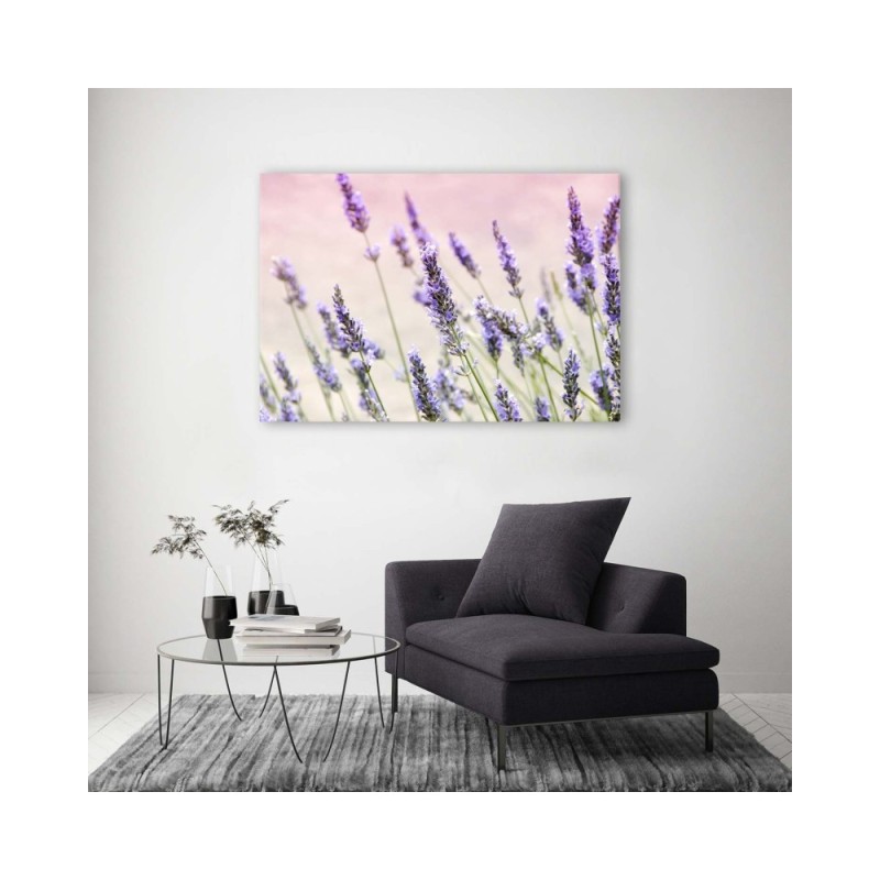 Leinwandbild - Lavendelblüten | Feeby