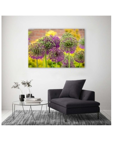 Leinwandbild - Zierlauch | Feeby