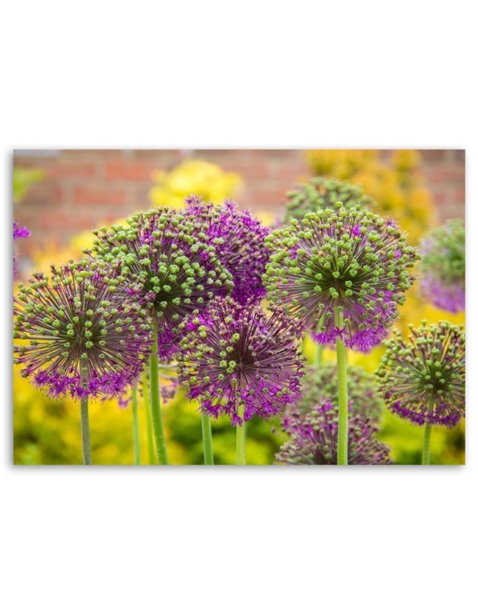 Modern painting for bedroom - Decorative garlic | FEEBY