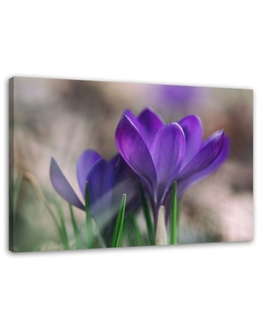Modern bedroom painting - Spring crocuses | FEEBY