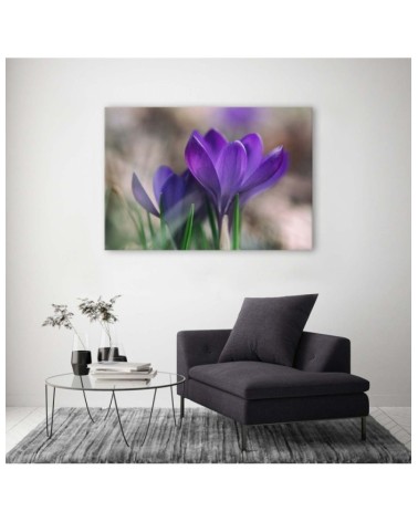 Bild auf Leinwand - Frühlingskrokusse | Feeby