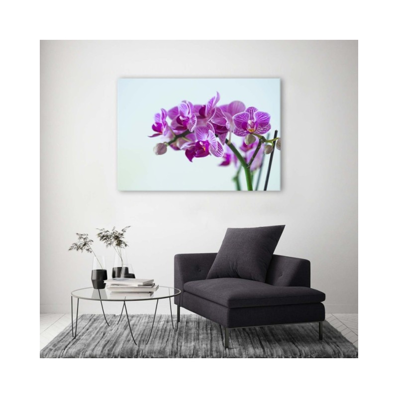 Leinwandbild modern - Zweigstelle Orchidee | Feeby