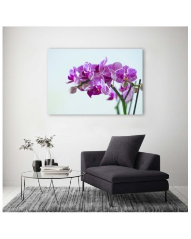 Leinwandbild modern - Zweigstelle Orchidee | Feeby