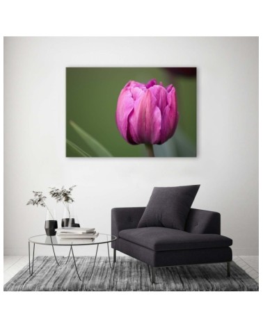 Modernes Wandbild - Lila Tulpenblüte | Feeby