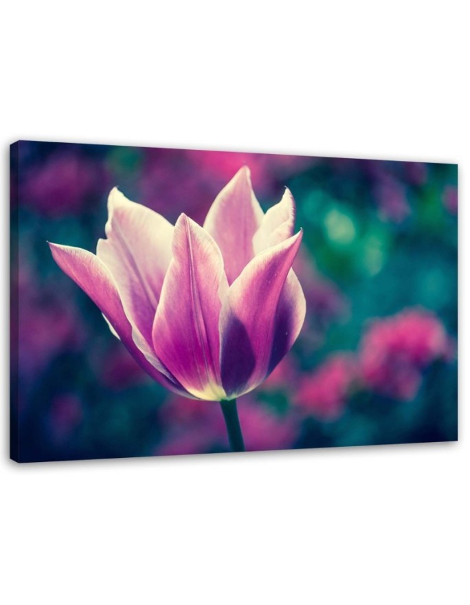 Modernes Wandbild - Offene Tulpe | Feeby