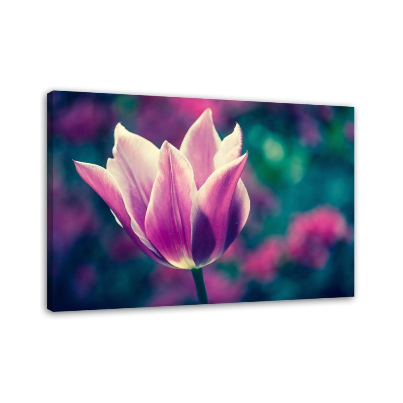 Modernes Wandbild - Offene Tulpe | Feeby