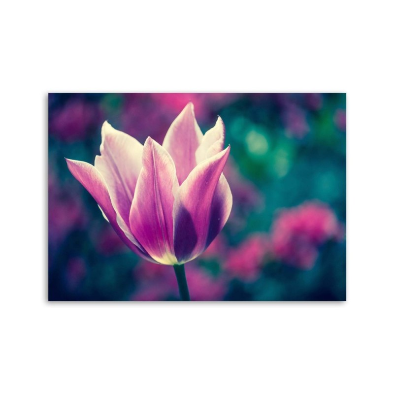 Modernes Wandbild - Offene Tulpe | Feeby