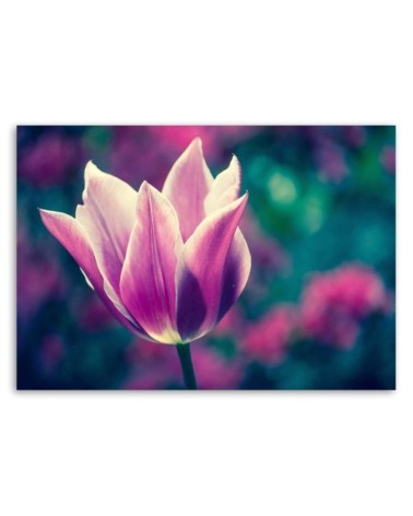 Modernes Wandbild - Offene Tulpe | Feeby