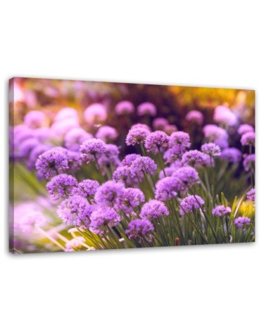 Bild auf Leinwand - Lila Garten | Feeby