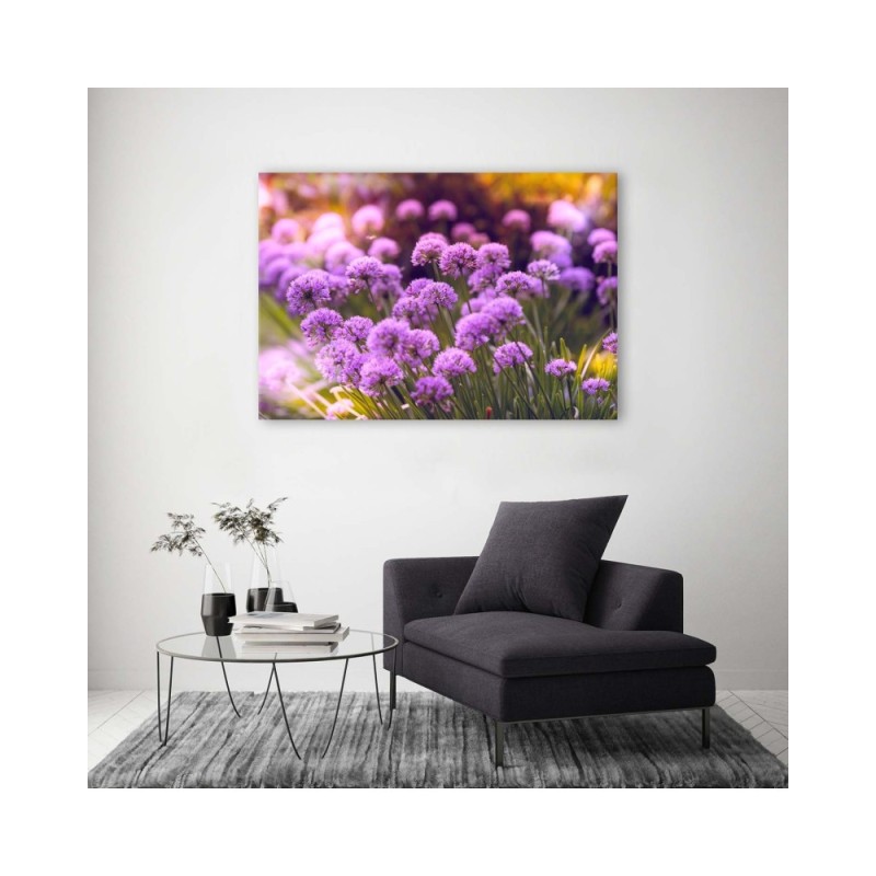 Bild auf Leinwand - Lila Garten | Feeby