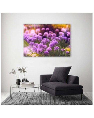 Bild auf Leinwand - Lila Garten | Feeby