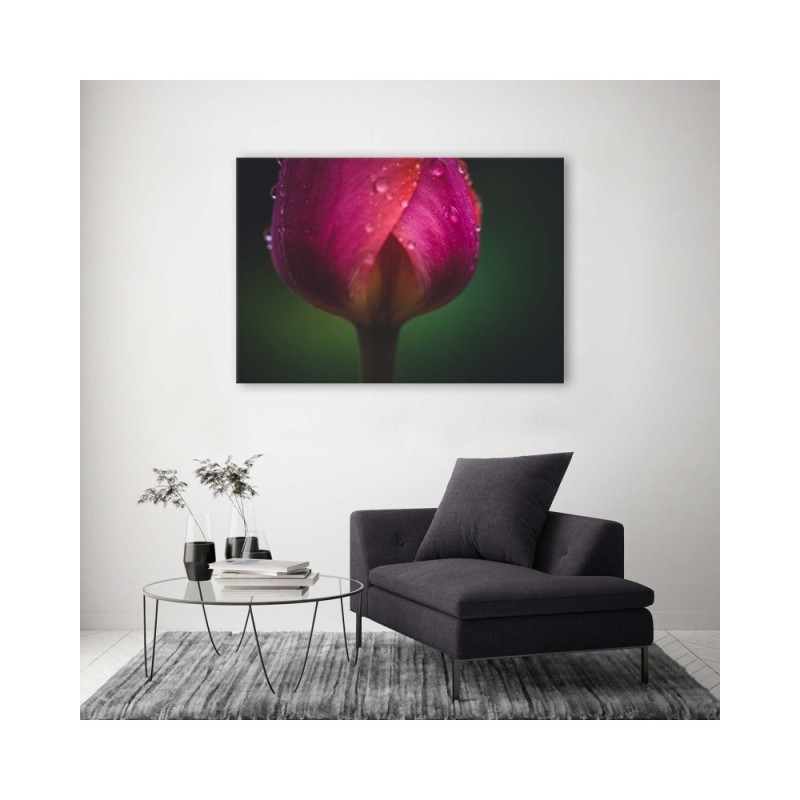 Bild auf Leinwand - Knospe und Tau | Feeby