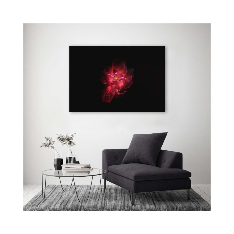 Leinwandbild modern - Nachtblume | Feeby