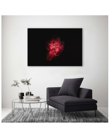 Leinwandbild modern - Nachtblume | Feeby