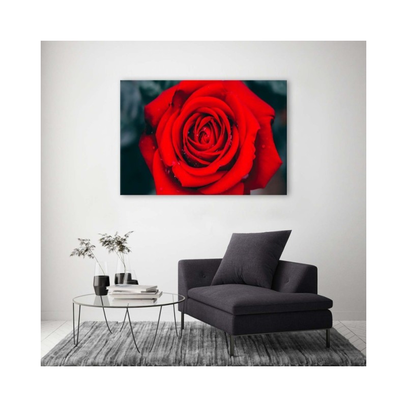 Wandbild für Wohnzimmer - Schöne rote Rose | Feeby