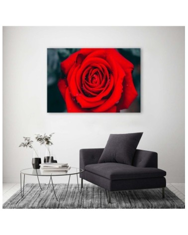 Wandbild für Wohnzimmer - Schöne rote Rose | Feeby