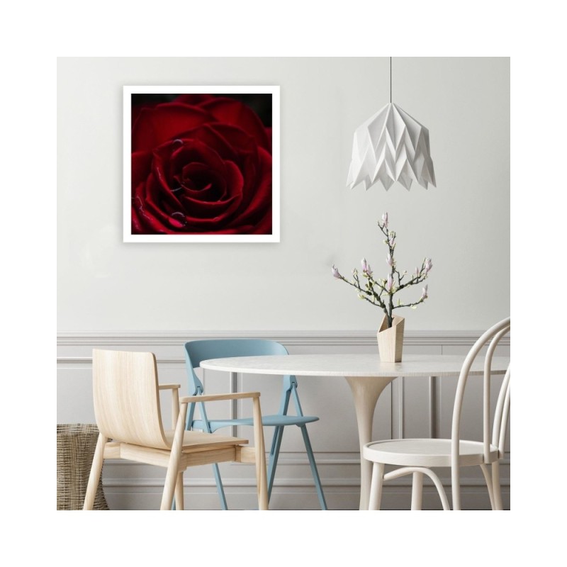 Modernes Wandbild - Der Charme der roten Rose | Feeby