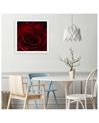 Modernes Wandbild - Der Charme der roten Rose | Feeby