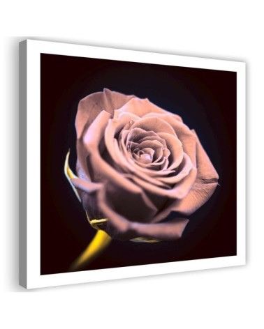 Rose in the dark - Modern Canvas painting for the bedroom | FEEBY