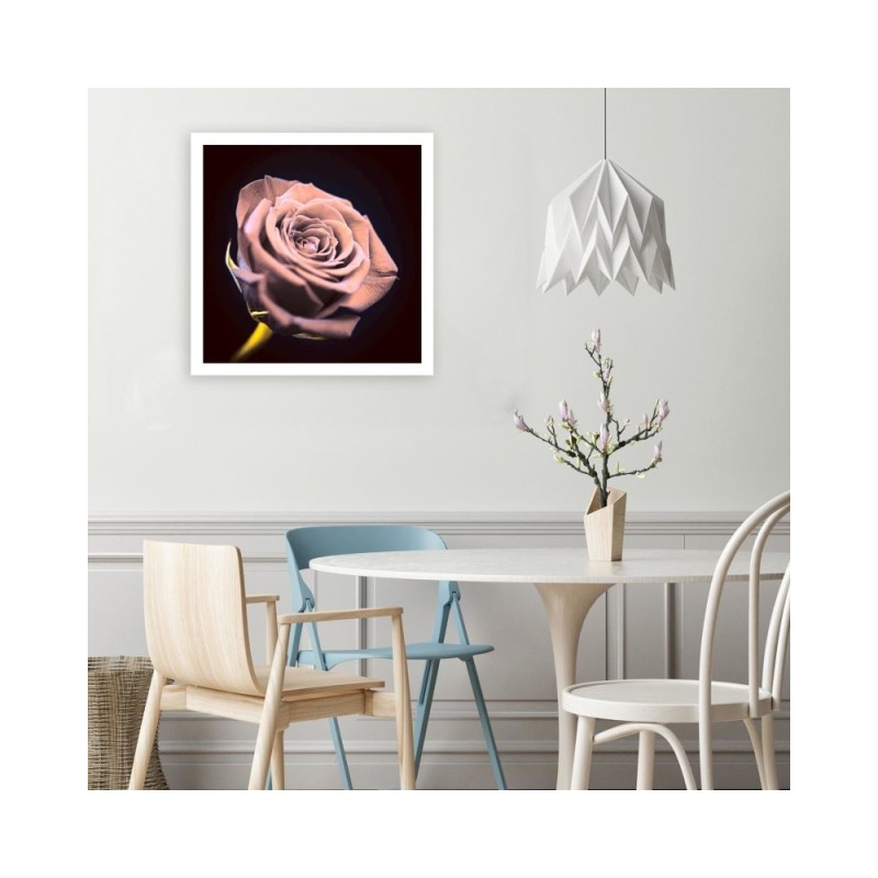 Bild auf Leinwand - Rose in der Dunkelheit | Feeby