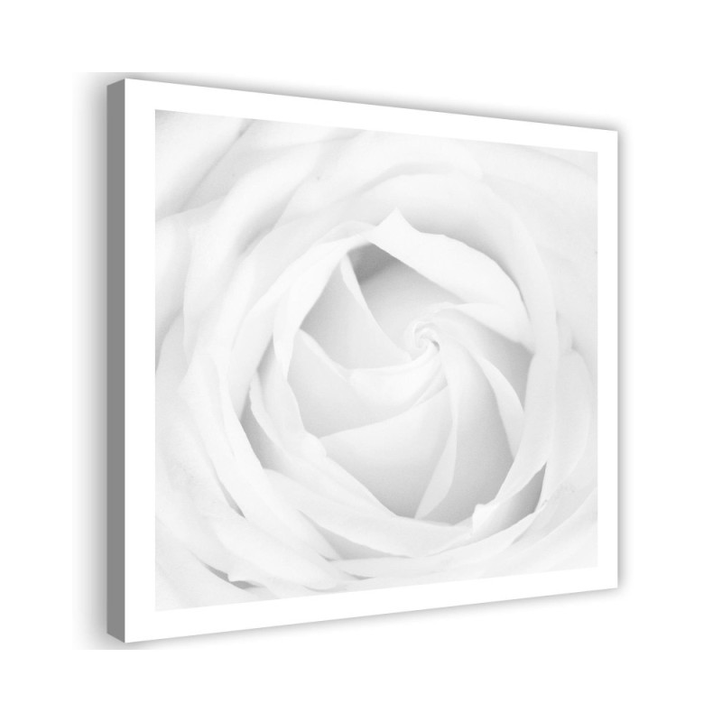 Leinwandbild modern - Weiße Rose | Feeby