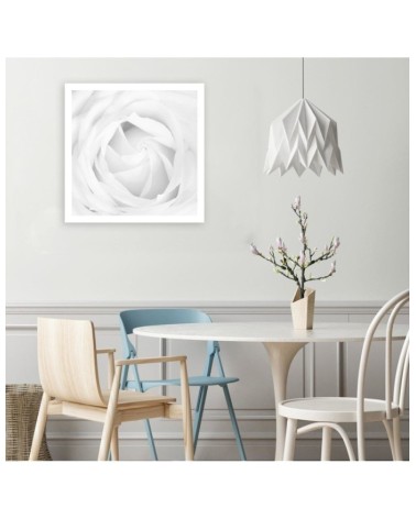 Leinwandbild modern - Weiße Rose | Feeby