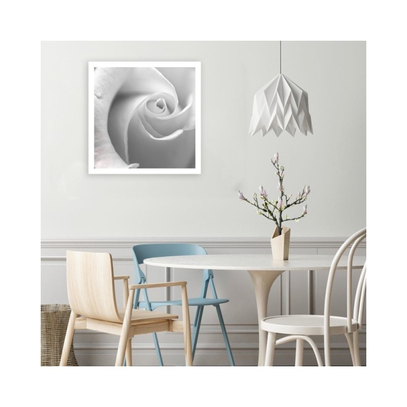Bild auf Leinwand - Weiße Rose in einer Nahaufnahme | Feeby