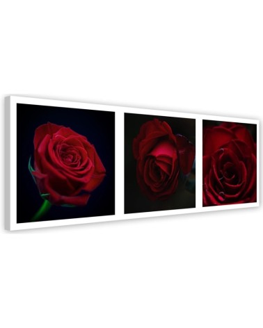 Leinwandbild - Rote Rosen - Satz | Feeby
