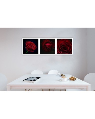 Leinwandbild - Rote Rosen - Satz | Feeby