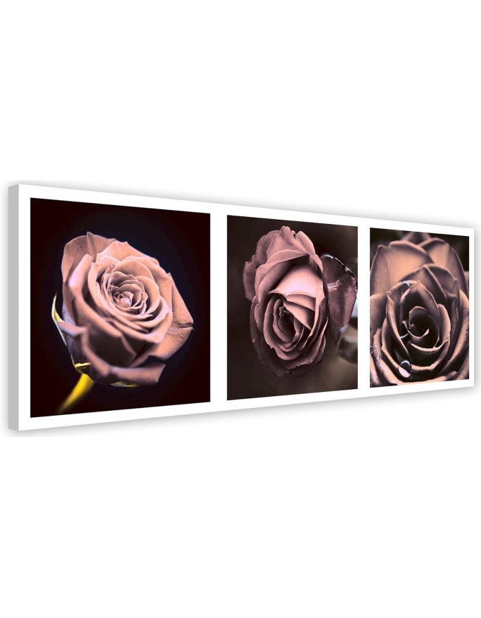 Leinwandbild - Panorama - Rosen | Feeby