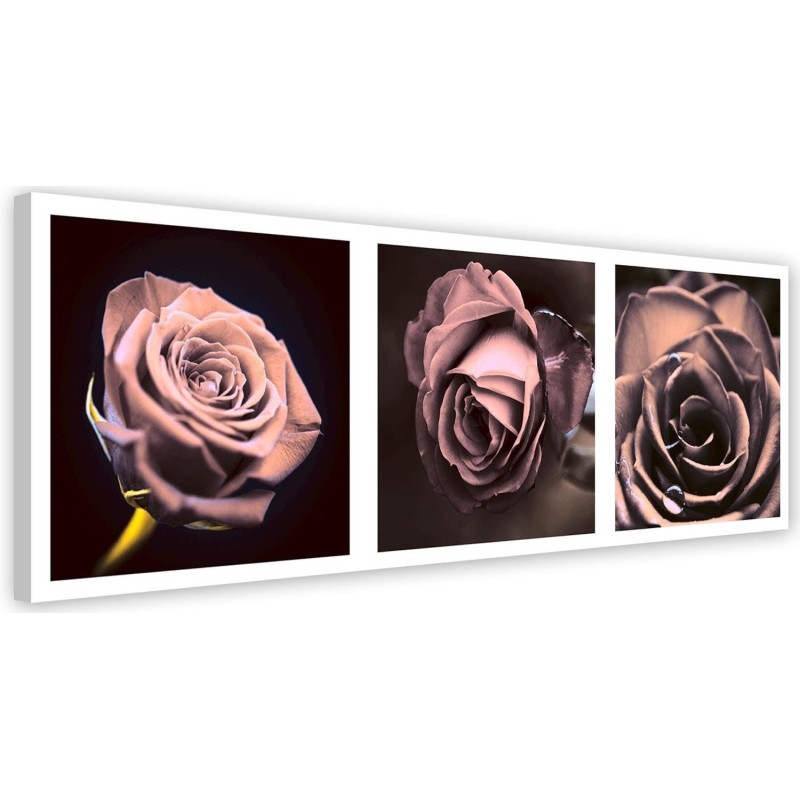 Leinwandbild - Panorama - Rosen | Feeby